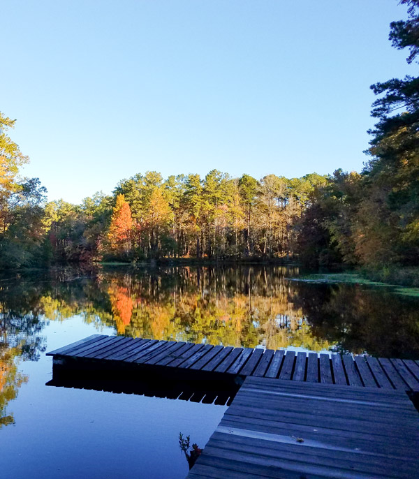 fall on the lake