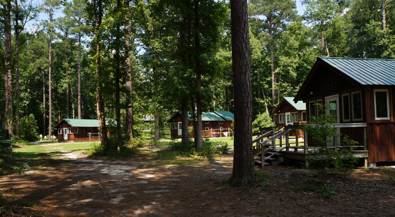 cabins in the pine trees during summer