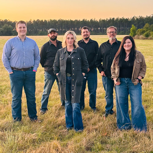The Amanda Cook Band
